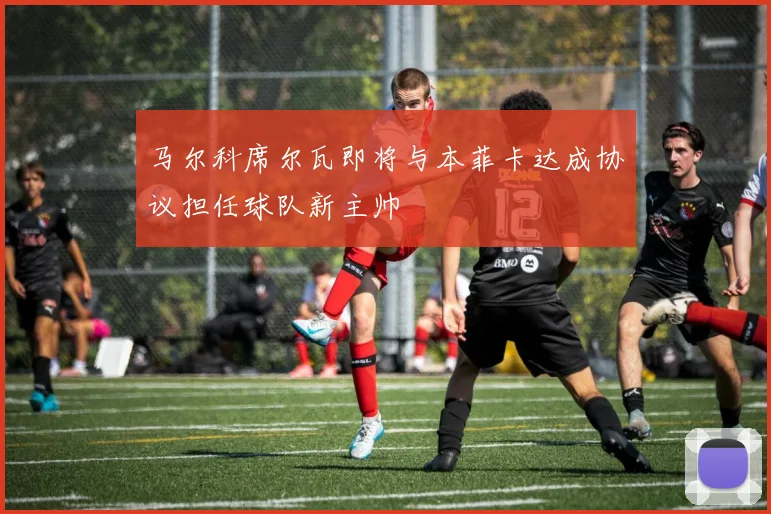 马尔科席尔瓦即将与本菲卡达成协议担任球队新主帅